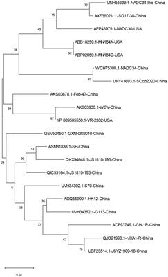 Research progress on the E protein of porcine reproductive and respiratory syndrome virus